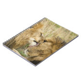 Carnet Kenya, Masai Mara (Côté gauche)