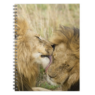 Carnet Kenya, Masai Mara