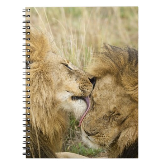 Carnet Kenya, Masai Mara (Devant)