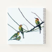 Carnet Kérala indien exotique Oiseaux d'abeille-mangeurs  (Dos)