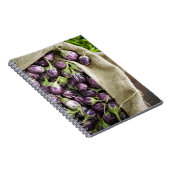 Carnet Kerelan Eggplant (Côté Droit)