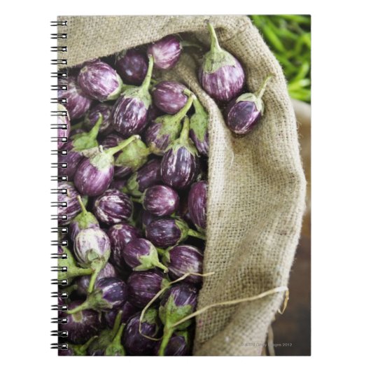 Carnet Kerelan Eggplant (Devant)