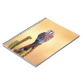 Carnet Kestrel, Falco sparverius, Native de US & Canada (Côté gauche)