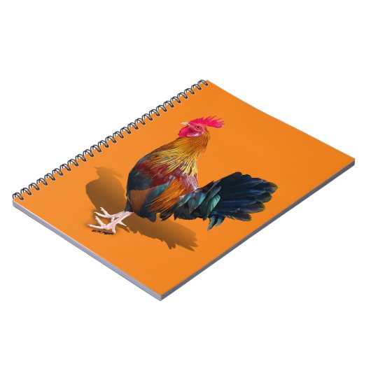 Carnet Key West - Rooster tzigane (Côté gauche)