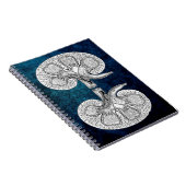 CARNET KIDNEY 2 (Côté Droit)