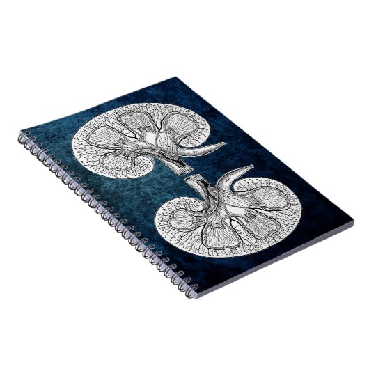 CARNET KIDNEY 2 (Côté Droit)