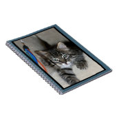 Carnet Kimber Kitten Joueur (Côté Droit)