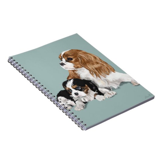 Carnet King Charles (Côté Droit)