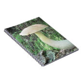 Carnet King Mushroom (Côté Droit)
