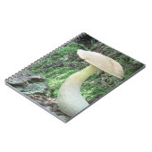Carnet King Mushroom (Côté gauche)