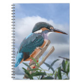 Carnet Kingfisher et Willow (Devant)