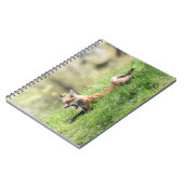 Carnet Kit de Fox rouge (Côté gauche)