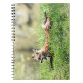 Carnet Kit de Fox rouge (Devant)