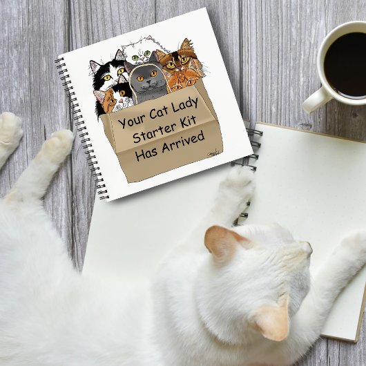 Carnet Kit d'entrée Lady Cat