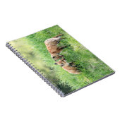 Carnet Kits Red Fox (Côté Droit)