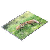 Carnet Kits Red Fox (Côté gauche)