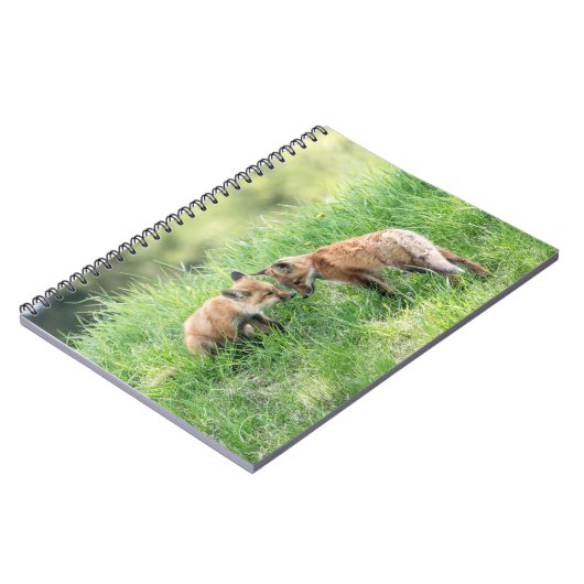 Carnet Kits Red Fox (Côté gauche)