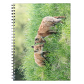 Carnet Kits Red Fox (Devant)