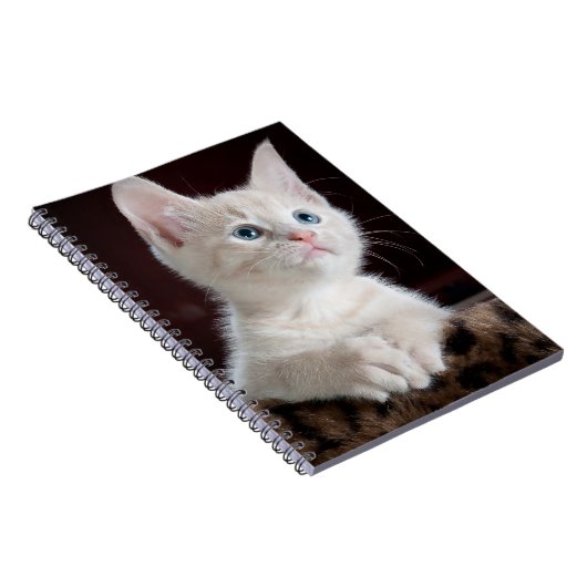 Carnet Kitten blanc vulnérable (Côté Droit)