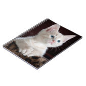 Carnet Kitten blanc vulnérable (Côté gauche)