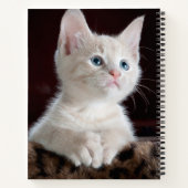 Carnet Kitten blanc vulnérable (Dos)