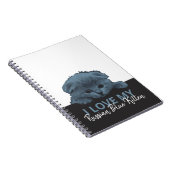Carnet Kitten bleu russe (Côté Droit)