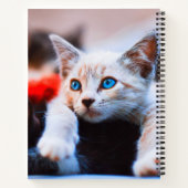 Carnet Kitten Blue Oyed adorable chat mignon (Dos)