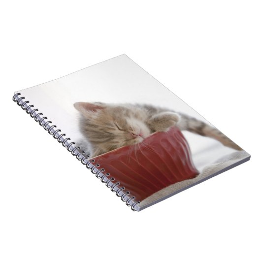 Carnet Kitten Dormir au bol (Côté Droit)