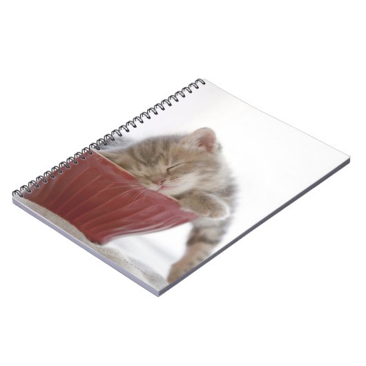 Carnet Kitten Dormir au bol (Côté gauche)