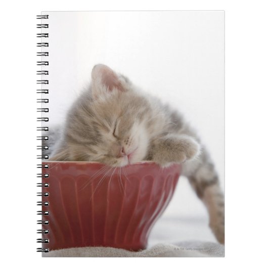Carnet Kitten Dormir au bol (Devant)