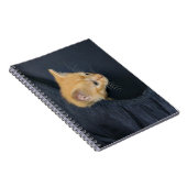 Carnet Kitten en valise (Côté Droit)