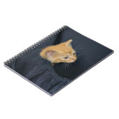 Carnet Kitten en valise (Côté gauche)