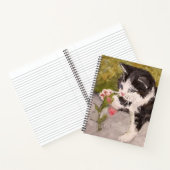 Carnet Kitten Jouer avec Fleur rose (Intérieur)