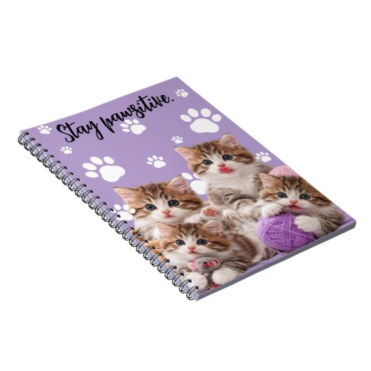 Carnet Kitten Stay Pawsitive Notebook (Côté Droit)