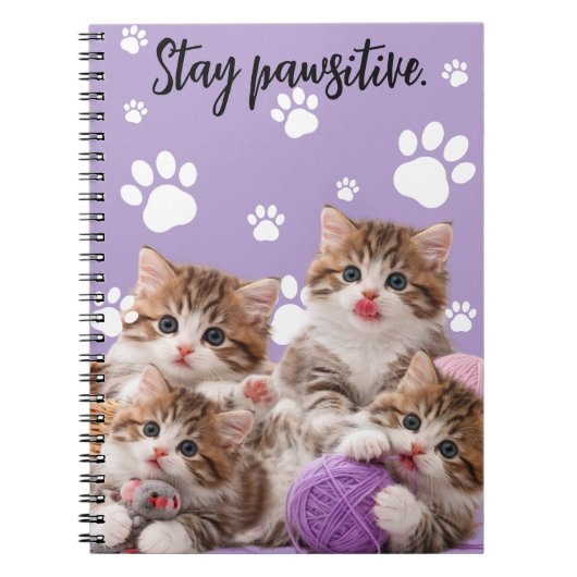 Carnet Kitten Stay Pawsitive Notebook (Devant)