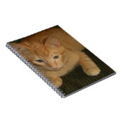 Carnet Kitty (Côté Droit)