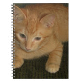 Carnet Kitty (Devant)