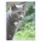 Carnet Kitty Cat (Devant)