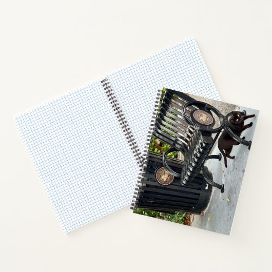 Carnet Kitty dans le parc (Intérieur)