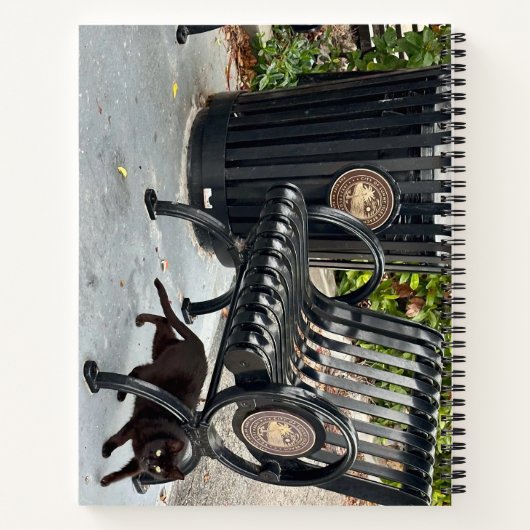 Carnet Kitty dans le parc (Dos)