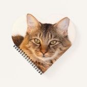 Carnet Kitty Love (Devant)