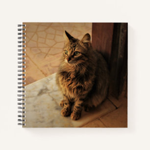 Carnet Kitty paisible