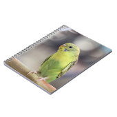 Carnet Kiwi Burbell (Côté gauche)