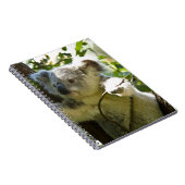 Carnet koala (Côté Droit)