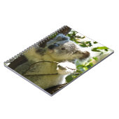Carnet koala (Côté gauche)