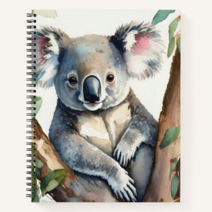 Carnet Koala assis dans un eucalyptus