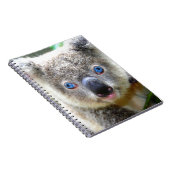 Carnet Koala Bears (Côté Droit)
