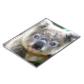Carnet Koala Bears (Côté gauche)