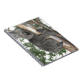 Carnet Koala dans un arbre (Côté Droit)