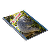 Carnet Koala de retour à l'école (Côté Droit)